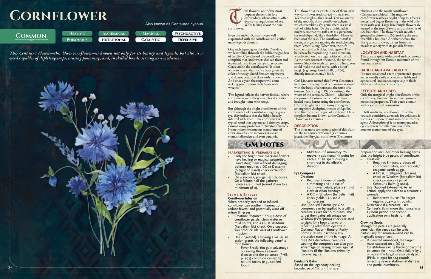 Illustration of a blue cornflower (Centaurea cyanus) with green stems and delicate petals from “Witch’s Herbs 5E” on a4play.com. Shows a magical herb used in 5e tool, dnd potions, 5e herbalism kit, health potion dnd 5e, and dnd magic items; highlights its role in remedies and folklore for tabletop adventures.