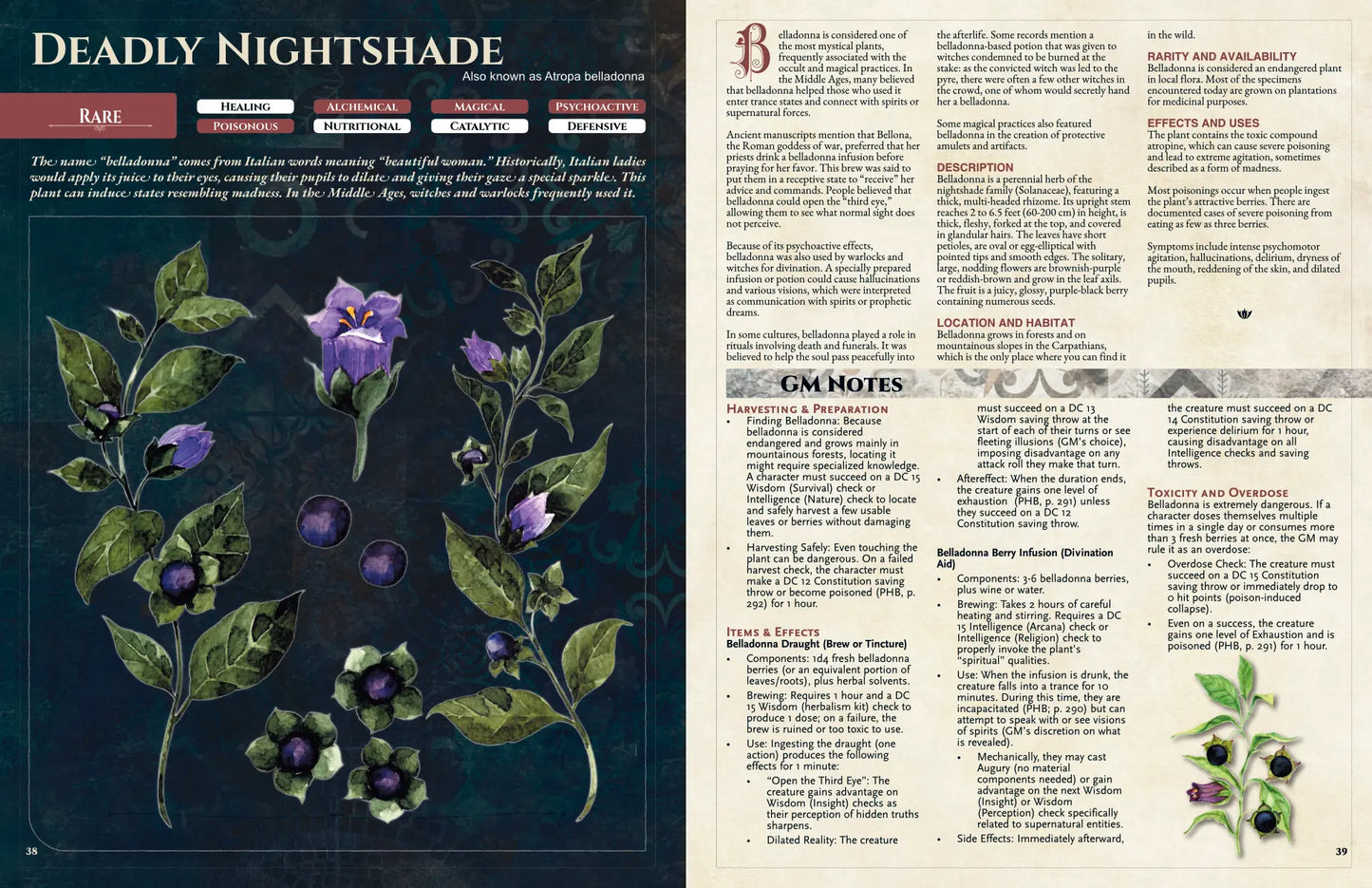 Illustration of deadly nightshade (Atropa belladonna) with dark purple berries and bell-shaped flowers among green leaves from “Witch’s Herbs 5E.” Highlights a poisonous herb used in 5e tool, dnd potions, dnd magic items, health potion dnd 5e, and alchemy dnd; suited for folklore-inspired magic and remedies in tabletop adventures.