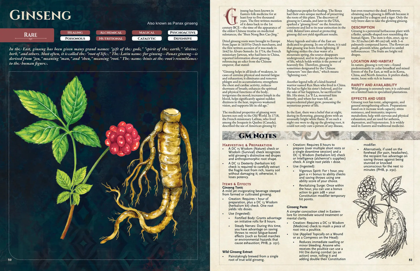 Illustration of ginseng root (Panax ginseng) with a forked shape, reddish stems, and green leaves from “Witch’s Herbs 5E.” Features a powerful herb used in 5e tool, dnd potions, health potion dnd 5e, 5e herbalism kit, and magic items 5e; highlights its healing, folklore, and magical uses in tabletop adventures.