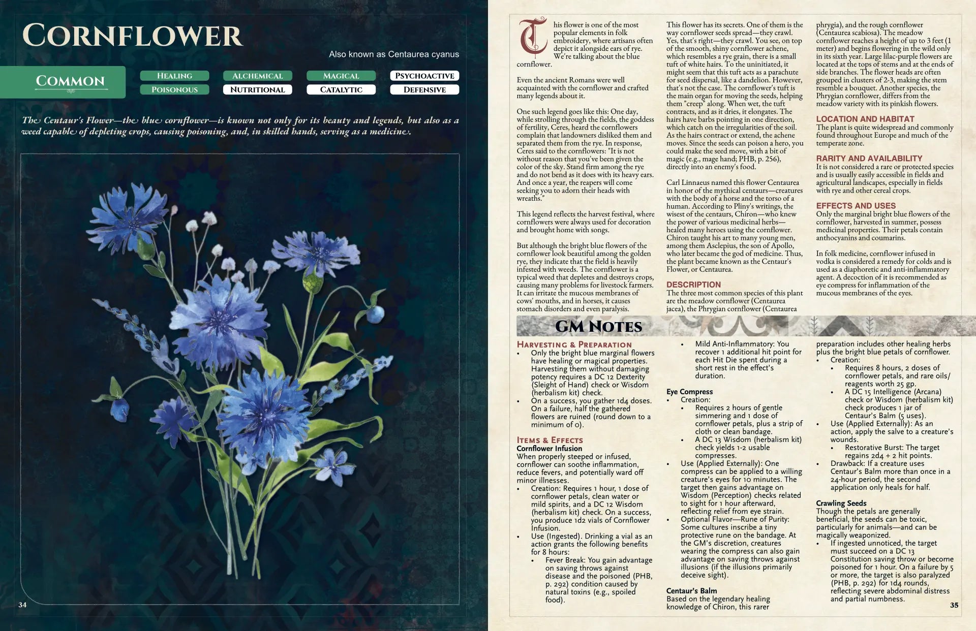 Illustration of a blue cornflower (Centaurea cyanus) with green stems and delicate petals from “Witch’s Herbs 5E” on a4play.com. Shows a magical herb used in 5e tool, dnd potions, 5e herbalism kit, health potion dnd 5e, and dnd magic items; highlights its role in remedies and folklore for tabletop adventures.