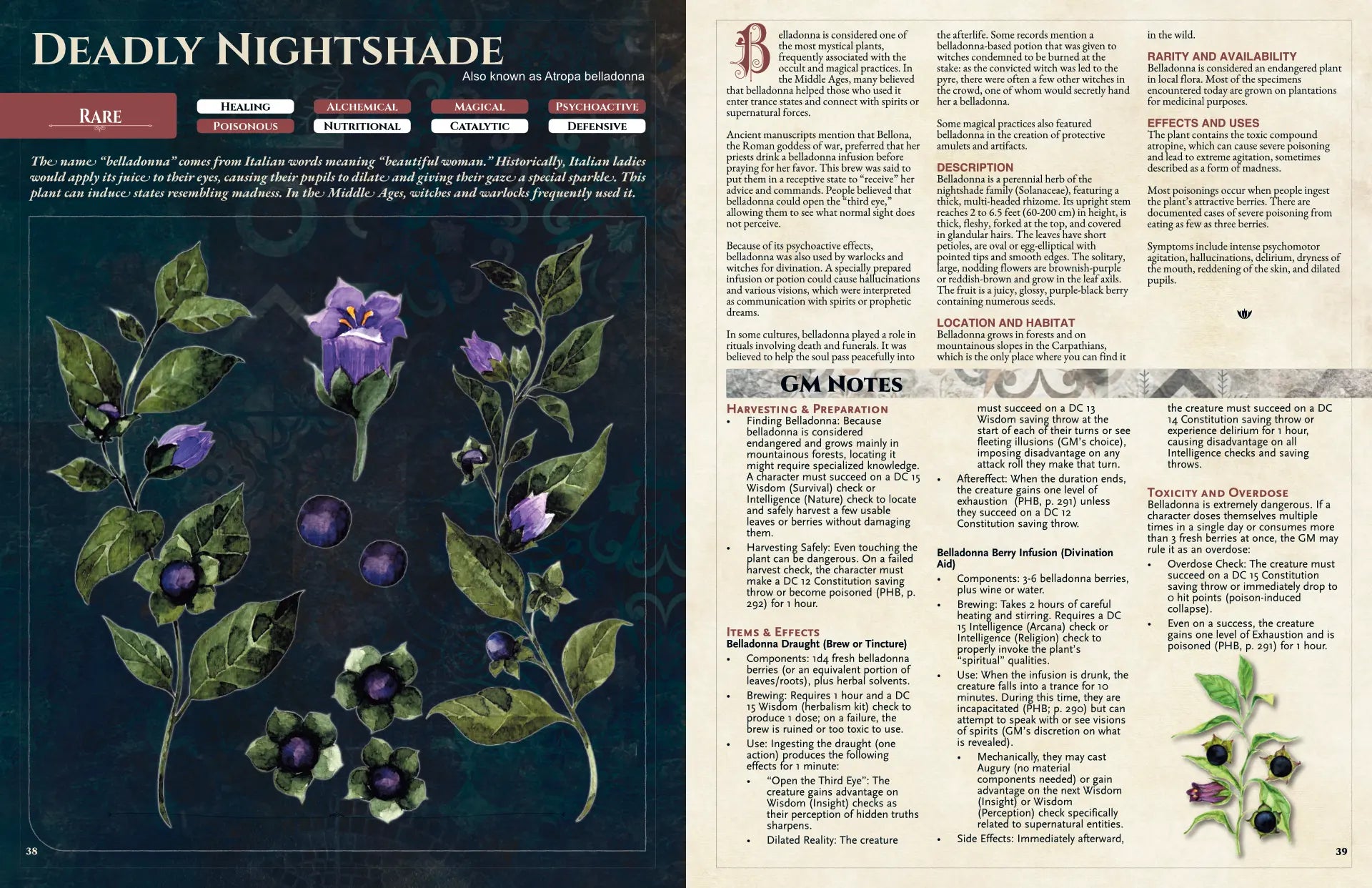Illustration of deadly nightshade (Atropa belladonna) with dark purple berries and bell-shaped flowers among green leaves from “Witch’s Herbs 5E.” Highlights a poisonous herb used in 5e tool, dnd potions, dnd magic items, health potion dnd 5e, and alchemy dnd; suited for folklore-inspired magic and remedies in tabletop adventures.